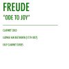 Ode an die Freude (Ode to Joy)
